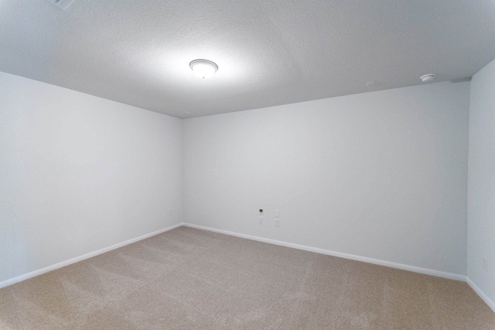 Hayden gallery 22