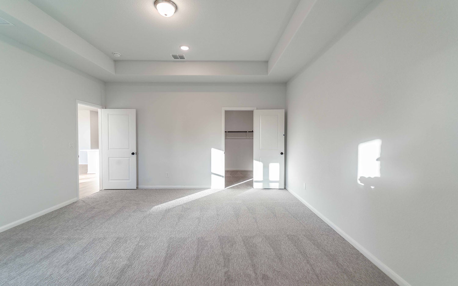 Hayden gallery 11