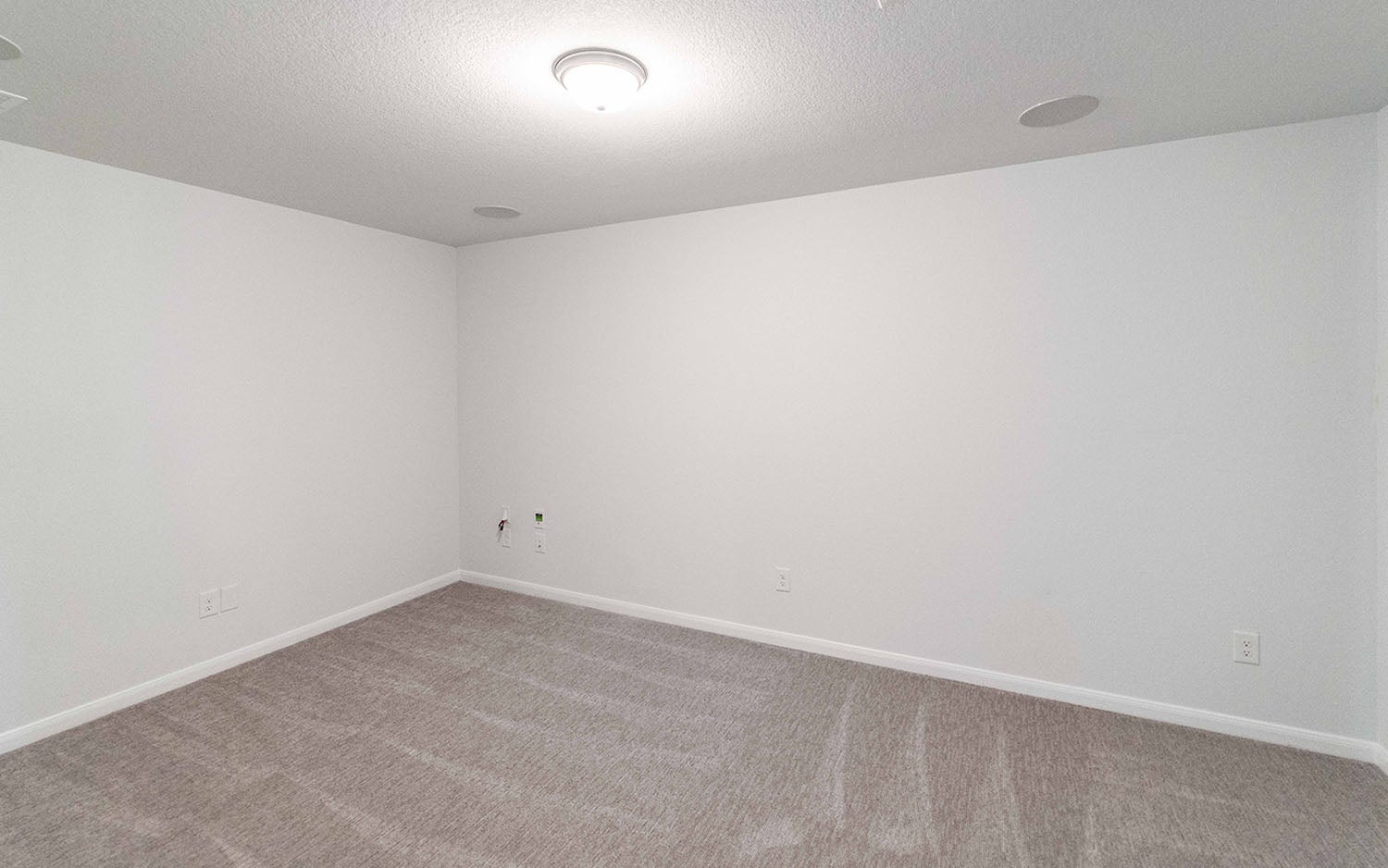Hayden gallery 14