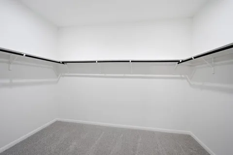 Jameson gallery 24