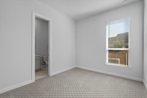 Frisco gallery 29