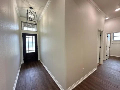 Andice gallery 13