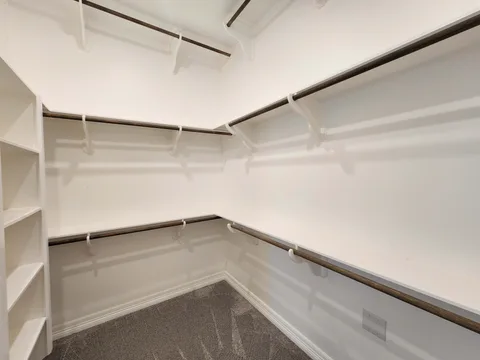 Bush gallery 20