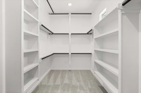 Jackson gallery 20