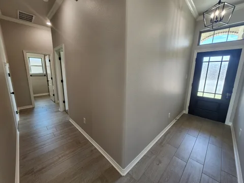 Andice gallery 17