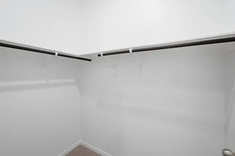 Eames gallery 30