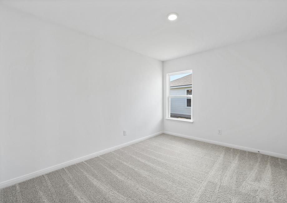 Beech gallery 10