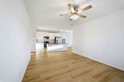 Elm gallery 17