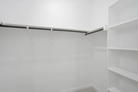 Elm gallery 23