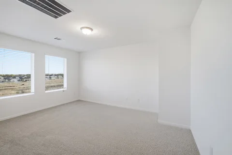 Elm gallery 24