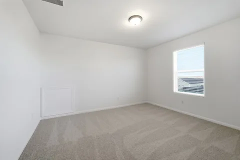 Elm gallery 25