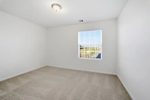 Elm gallery 27