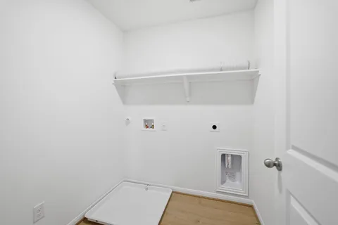 Elm gallery 28