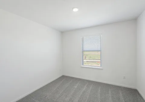 Dylan gallery 5