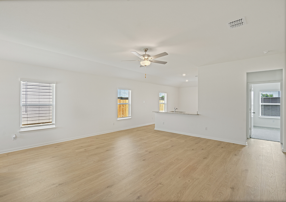 Chestnut gallery 3
