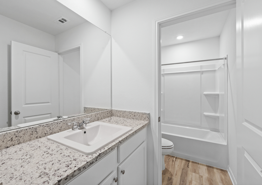 Marek gallery 6